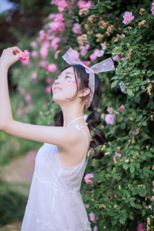 大军师司马懿